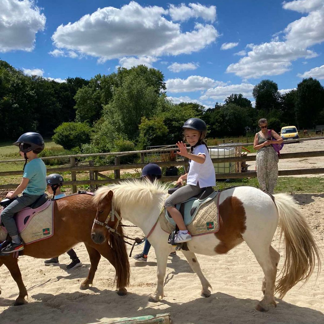 Equestrian Center of Chaville 3